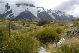 Mount Cook NP